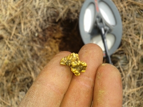 pépite trouvé grâce à un détecteur de métaux